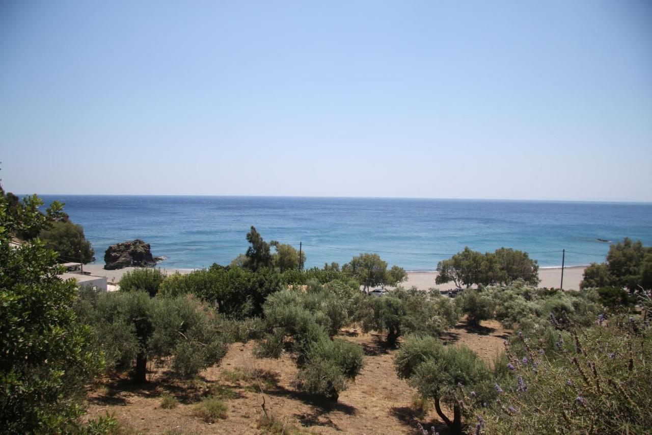 Kleanthis Apartments Rodhákinon Oda fotoğraf